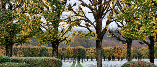 Photograph of fall trees and white headstones at Meuse-Argonne American Cemetery on Veterans Day 2015.